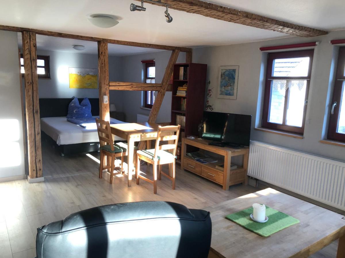 דירות Plaue  Cafe Landart Im Thueringer Finistere מראה חיצוני תמונה