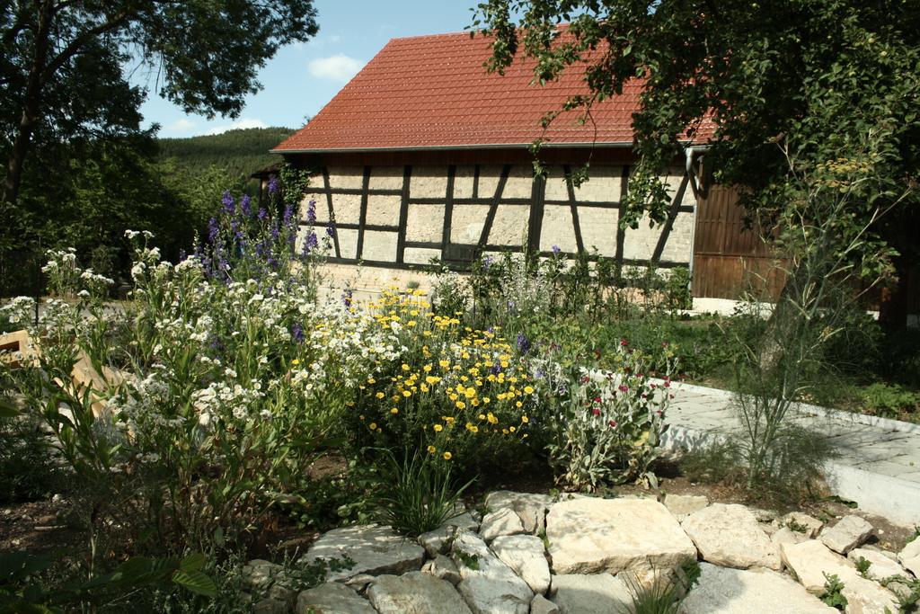 דירות Plaue  Cafe Landart Im Thueringer Finistere חדר תמונה