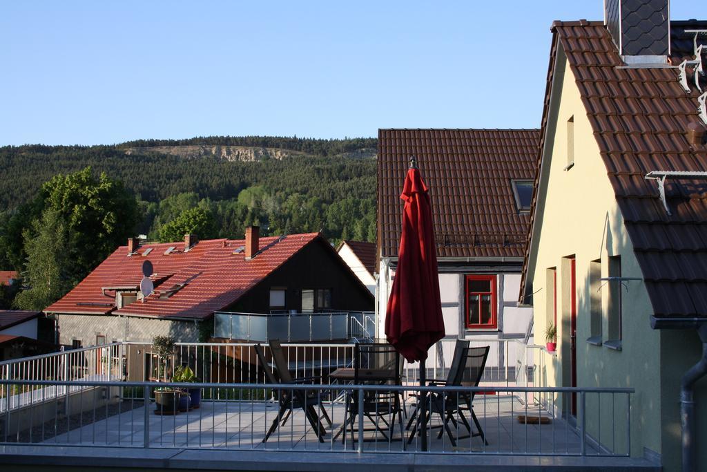 דירות Plaue  Cafe Landart Im Thueringer Finistere חדר תמונה